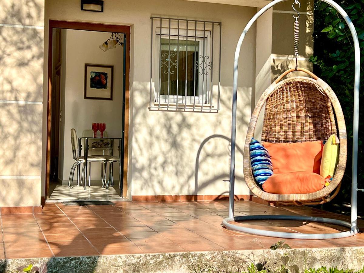 The Almond Tree